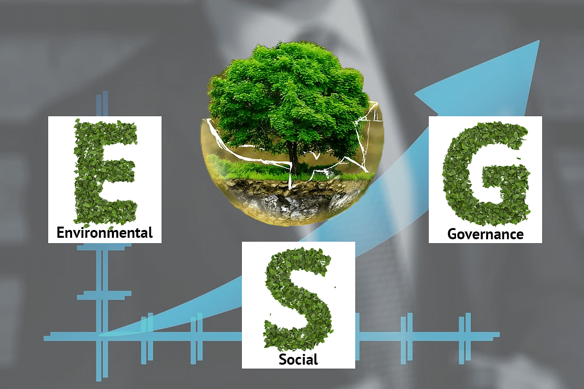 Is 'ESG' Investing Just Another Politically Correct Term For Seeking Funds?
