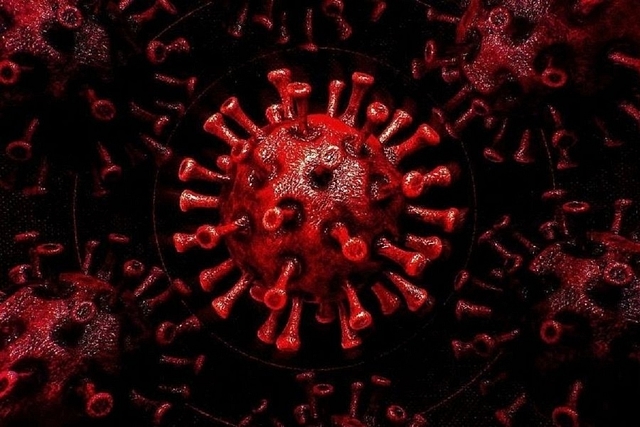 Coronavirus (Representative Image)