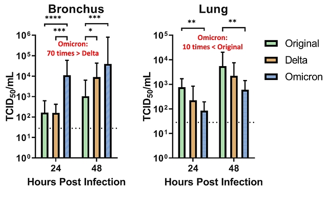 Explained: Scientific Study Which Explains Why Omicron May Be Less Deadly Than Delta