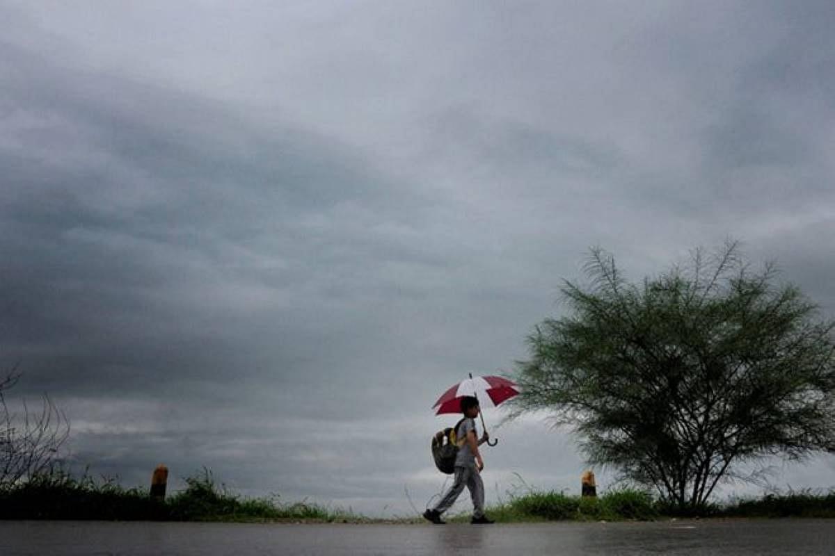 India Likely To Witness Normal Rainfall During Monsoon Season This Year: IMD