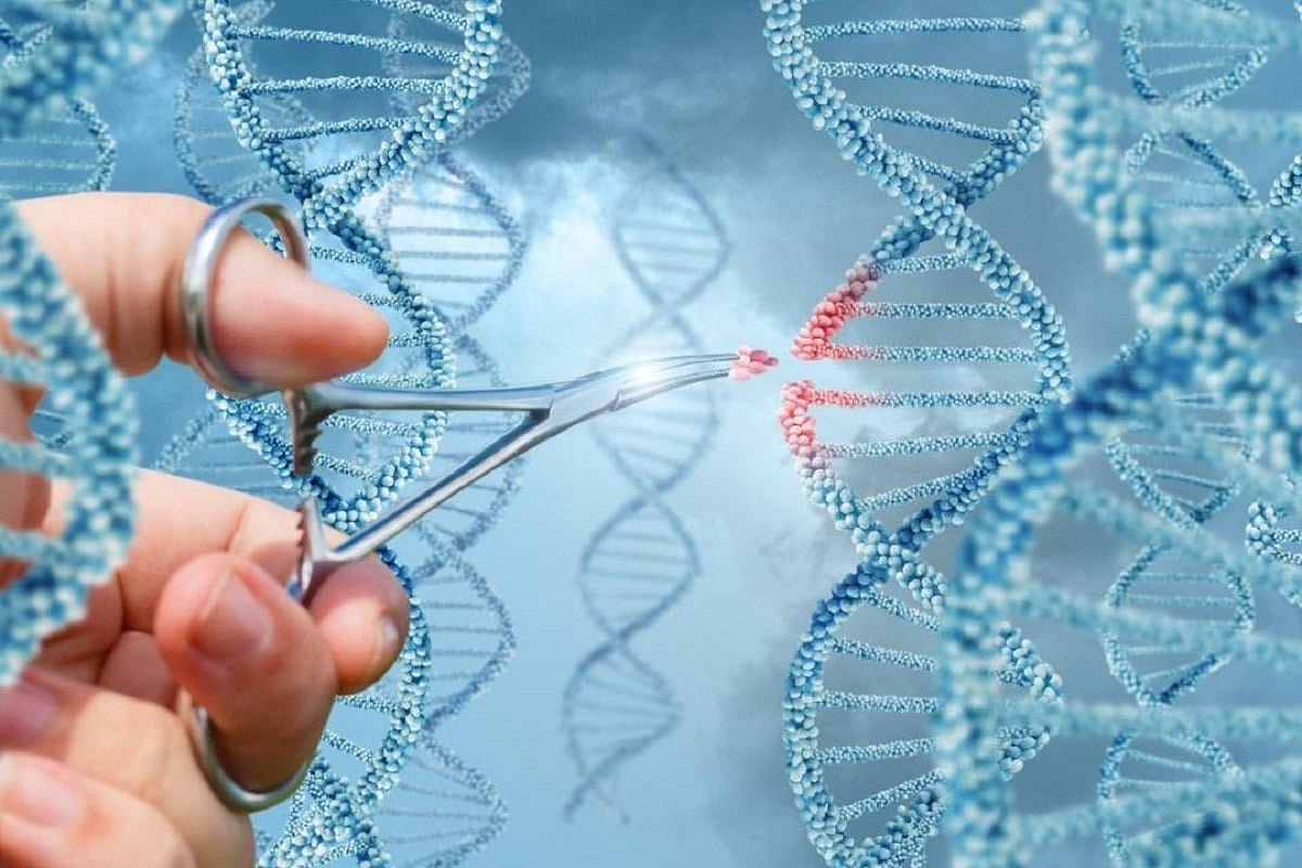 Designer DNA: India Looks At Framing A National Policy On Synthetic Biology