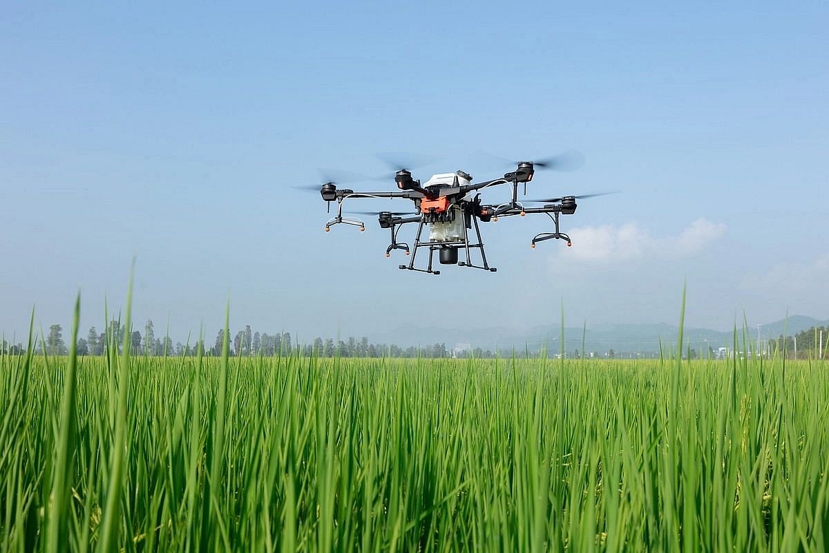 Union Budget 2022: Government To Promote Kisan Drones, Chemical-Free Natural Farming, Says FM