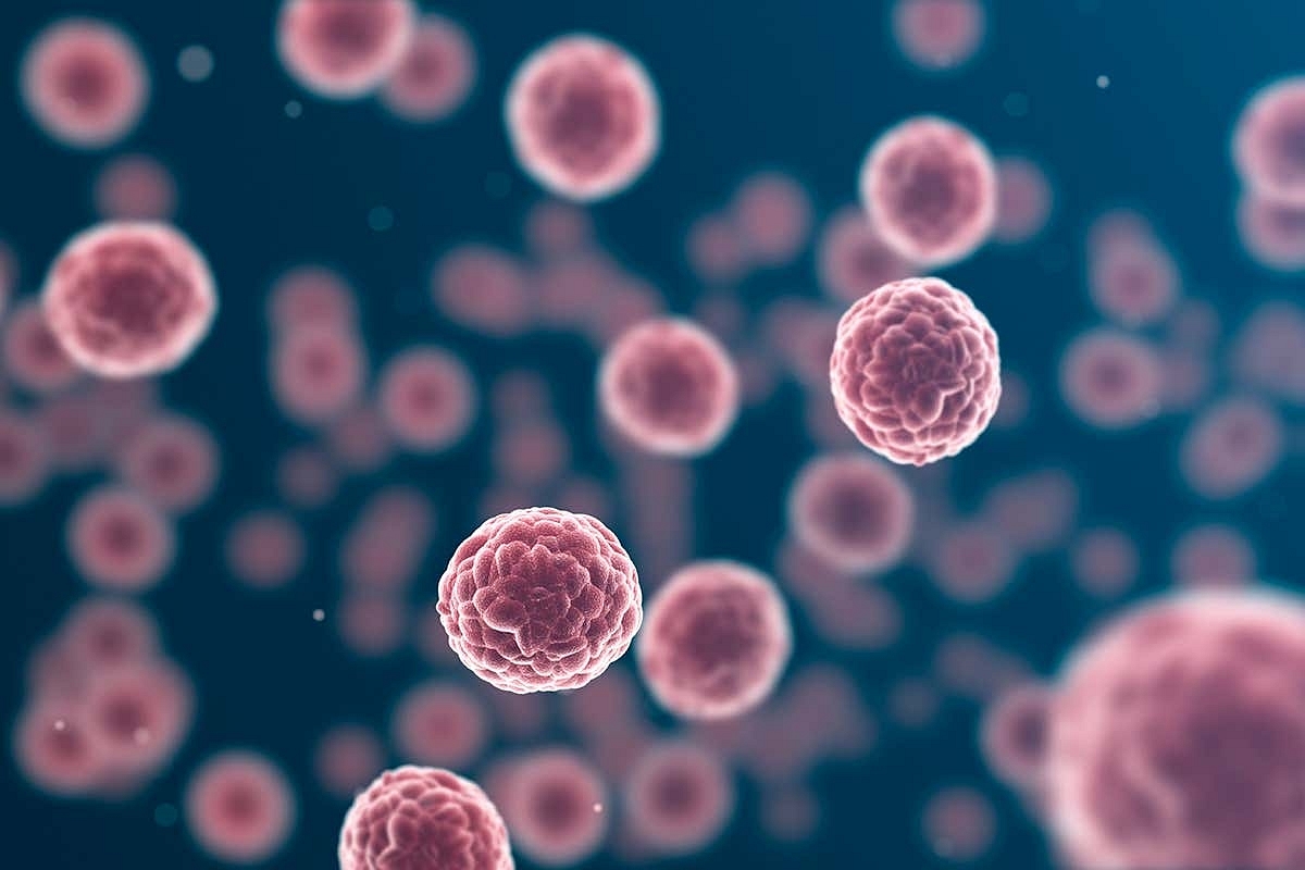 Upper House MPs Express Concern Over Rising Cases Of Cancer