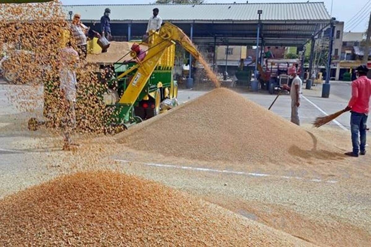 India Receives Requests From Multiple Nations To Supply Over 1.5 Million Tonnes Of Wheat Amid Global Shortage: Report