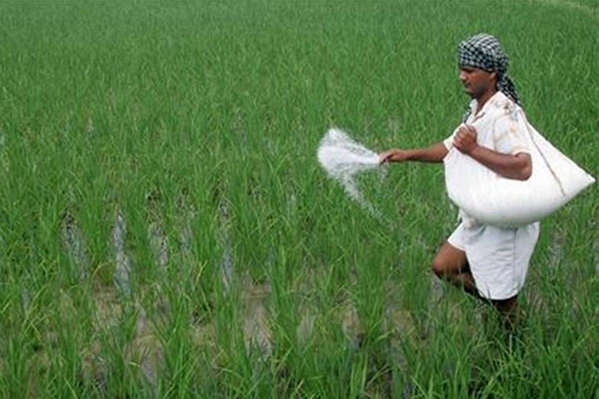 Central Govt Looking At DBT, Improved Targeting To Save Fertiliser Subsidy Bill 
