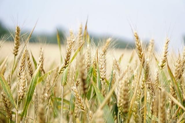 Governments Across The World Turn To Food Protectionism As Fuel, Food, Fertiliser Prices Go Through The Roof