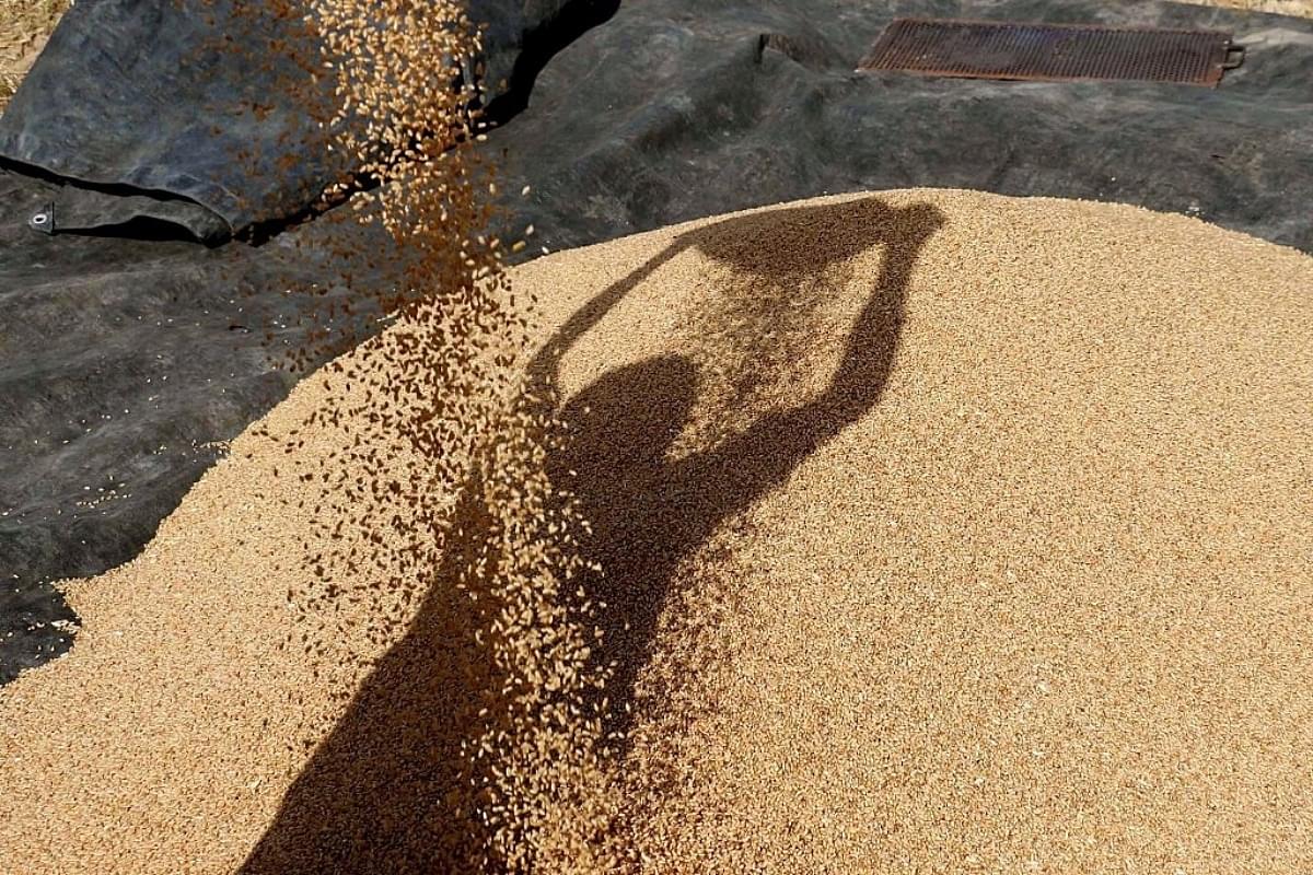 India Bans Wheat Exports With Immediate Effect To Control Rising Domestic Prices