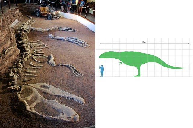 Giganotosaurus is the apex predator in 'Jurassic World Dominion'