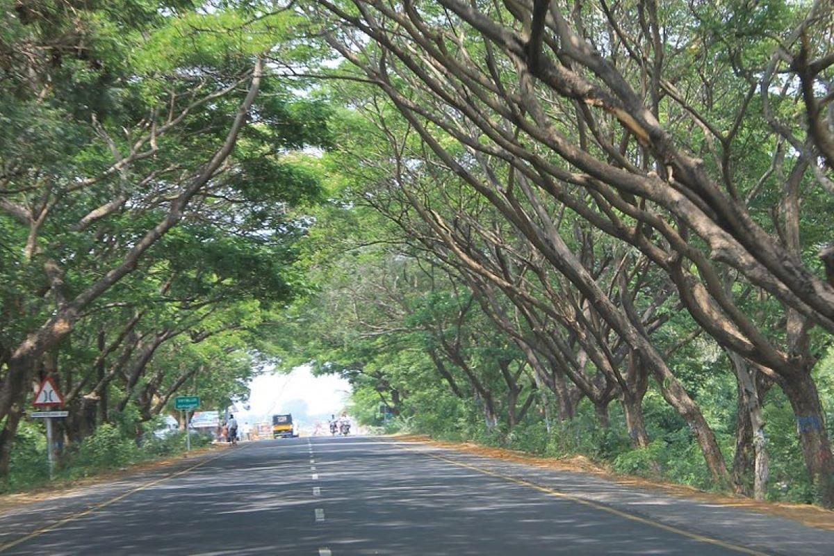 Tamil Nadu: East Coast Road Expansion Project Gains Momentum, Mayiladuthurai-Karaikal Stretch To Be Completed By 2024 