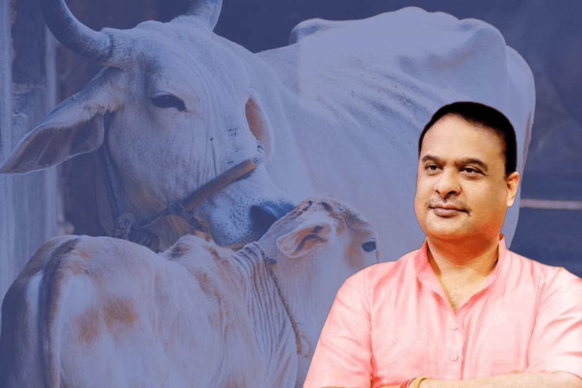 Credit To Himanta Biswa Sarma, Not Badruddin Ajmal, For Appeal Not To Slaughter Cows In Assam On Bakrid