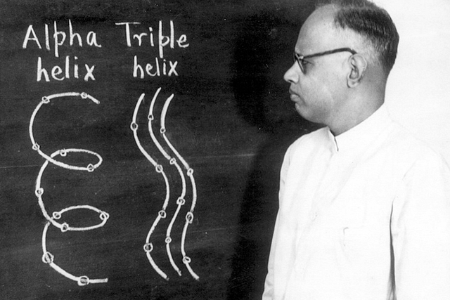 GNR explaining Triple Helix to his students.