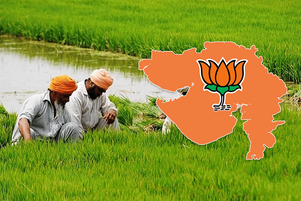Why Monsoon, Markets, And MSP Could Give A Boost To BJP In Rural Gujarat