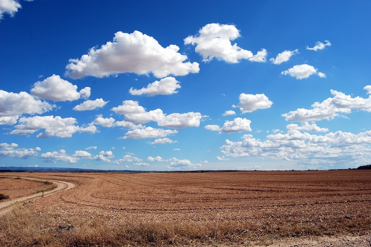 Wanted: An Upgraded Land Policy To Aid Investment Flow