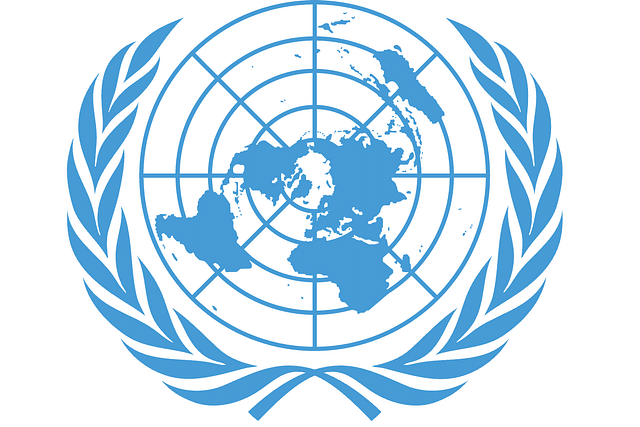 UN Emblem