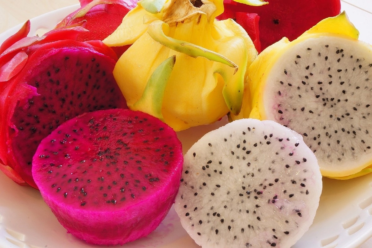 From Imports To Self-Sufficiency: How India Plans To Grow Dragon Fruit On A Massive Scale