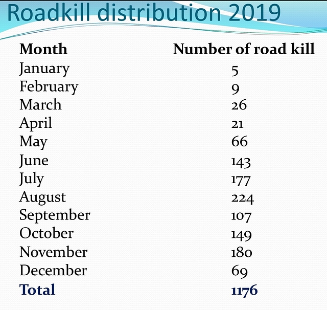Roadkill distribution (WII)
