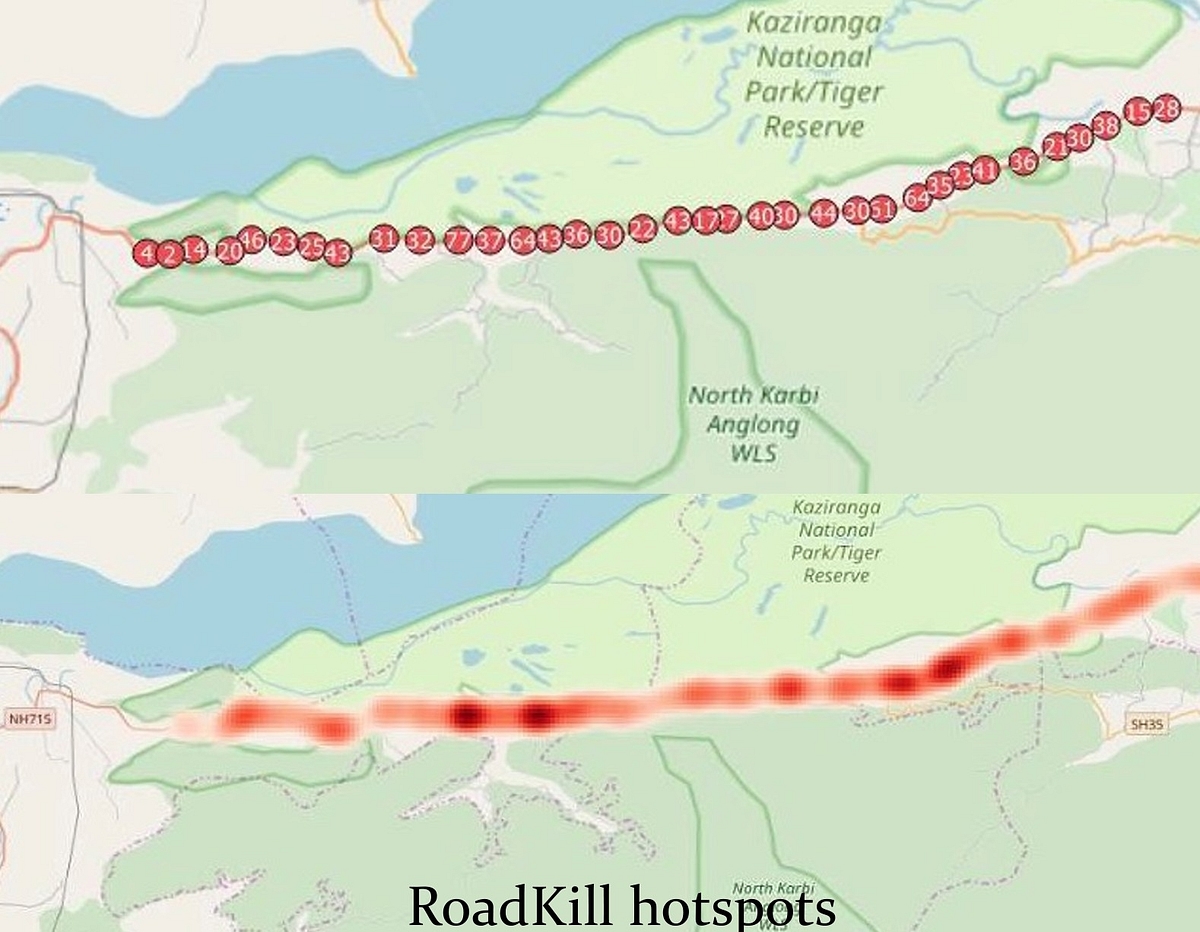 Roadkill Hotspots at KNP (WII)