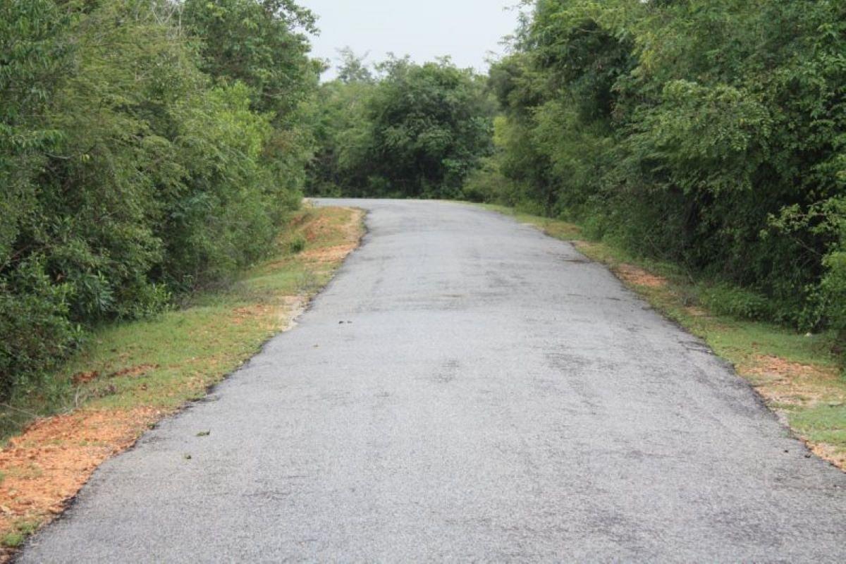 Bengaluru-Chennai Expressway: Wildlife Board Gives Conditional Nod For Project Work Near Kaundaniya Sanctuary, Rayala Elephant Reserve 