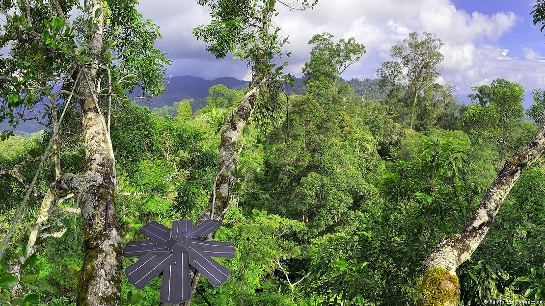 Solar-powered sensors can record chainsaw noise up to 1.5 kilometers away. (Photo Credit: Rainforest Connection).