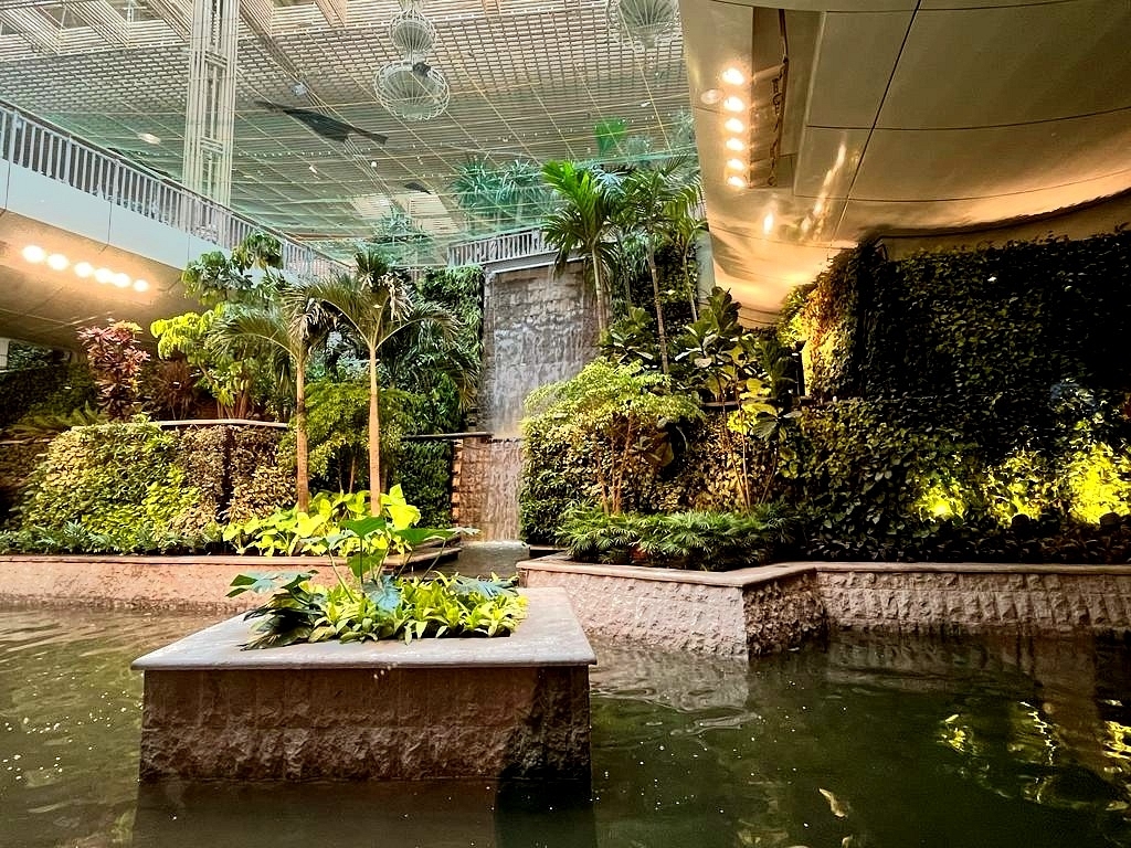 Indoor pond (Image source: author)