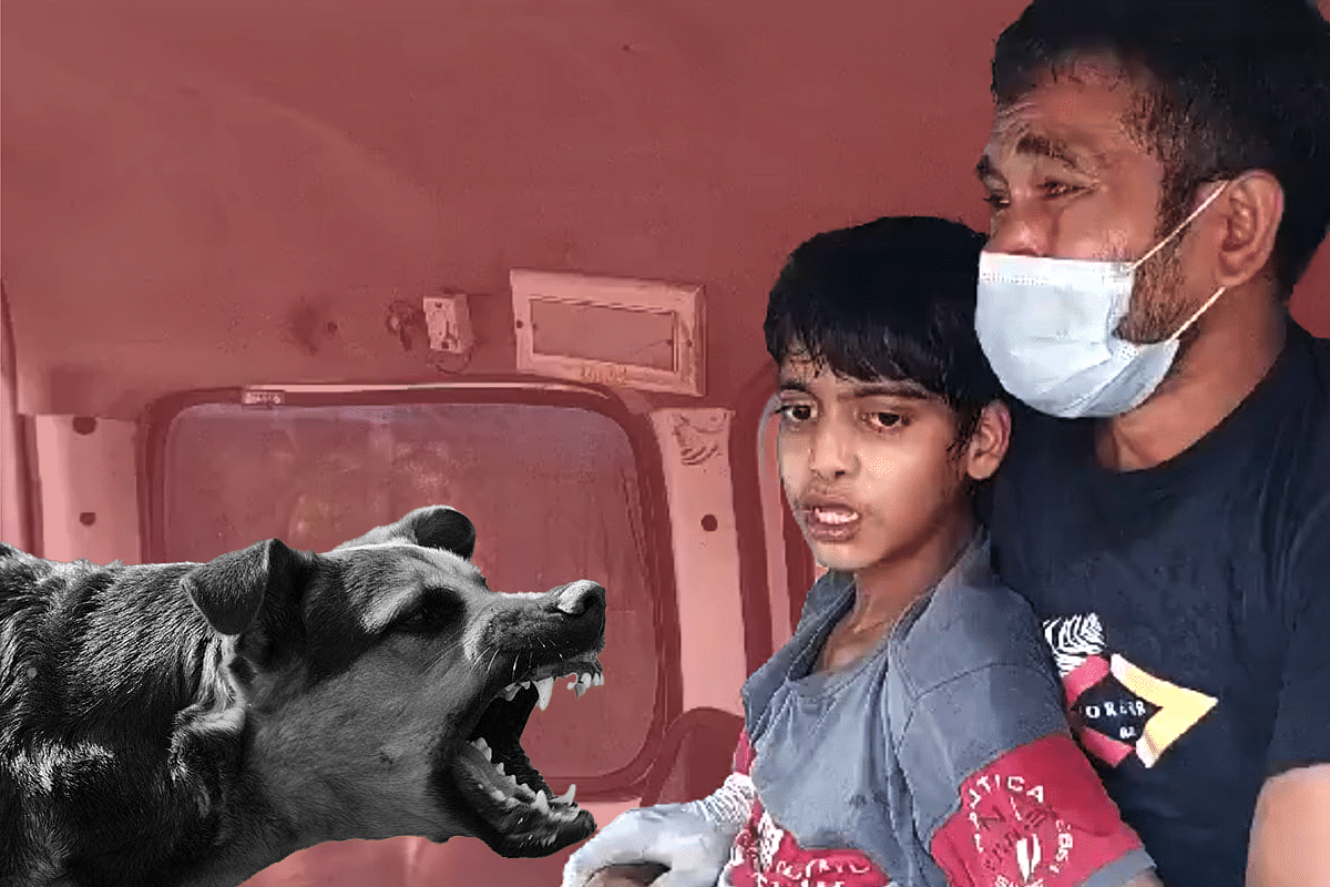 In Ghaziabad Colony Where 14-Year-Old Died Of Dog Bite And Resulting Rabies,  Alarms Over Stray Dog Menace And Public Safety