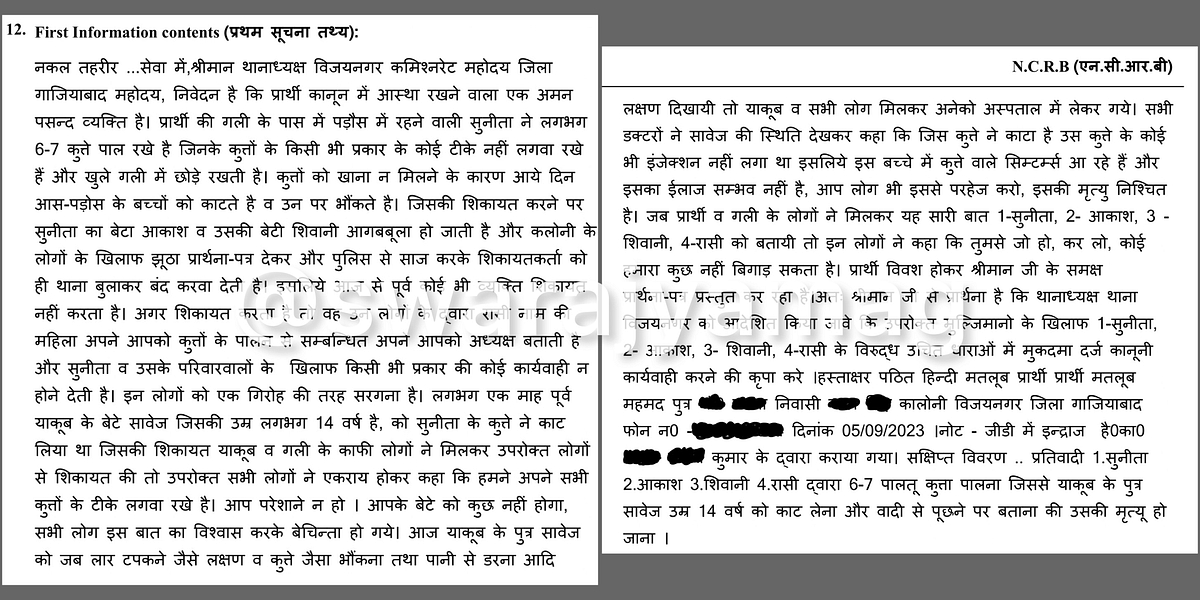 In Ghaziabad Colony Where 14-Year-Old Died Of Dog Bite And Resulting Rabies,  Alarms Over Stray Dog Menace And Public Safety
