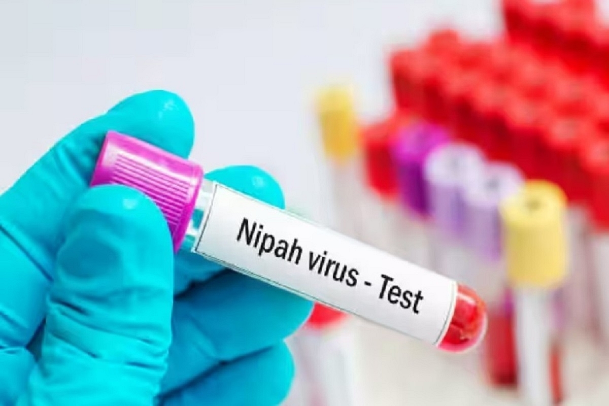 Two Dead From Nipah Virus In Kerala: Here's How The State Plans To Stop It's Spread