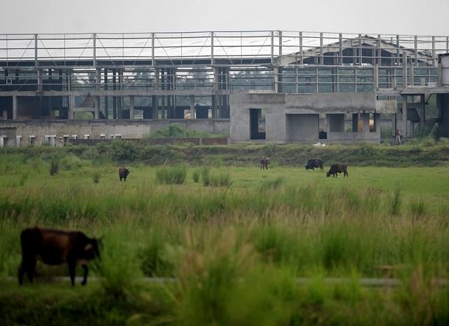 Cattle roam in front of a factory shed at the Tata Motors factory complex at Singur.