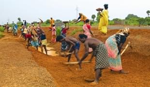 NREGA in action.