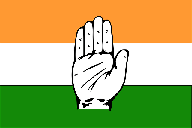 (Congress party flag and election symbol, file image)