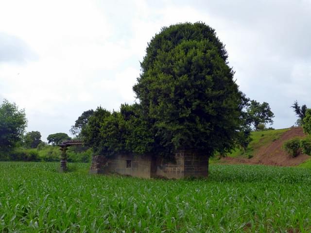 Picture 6 : A closer look at the temple covered with greenery
