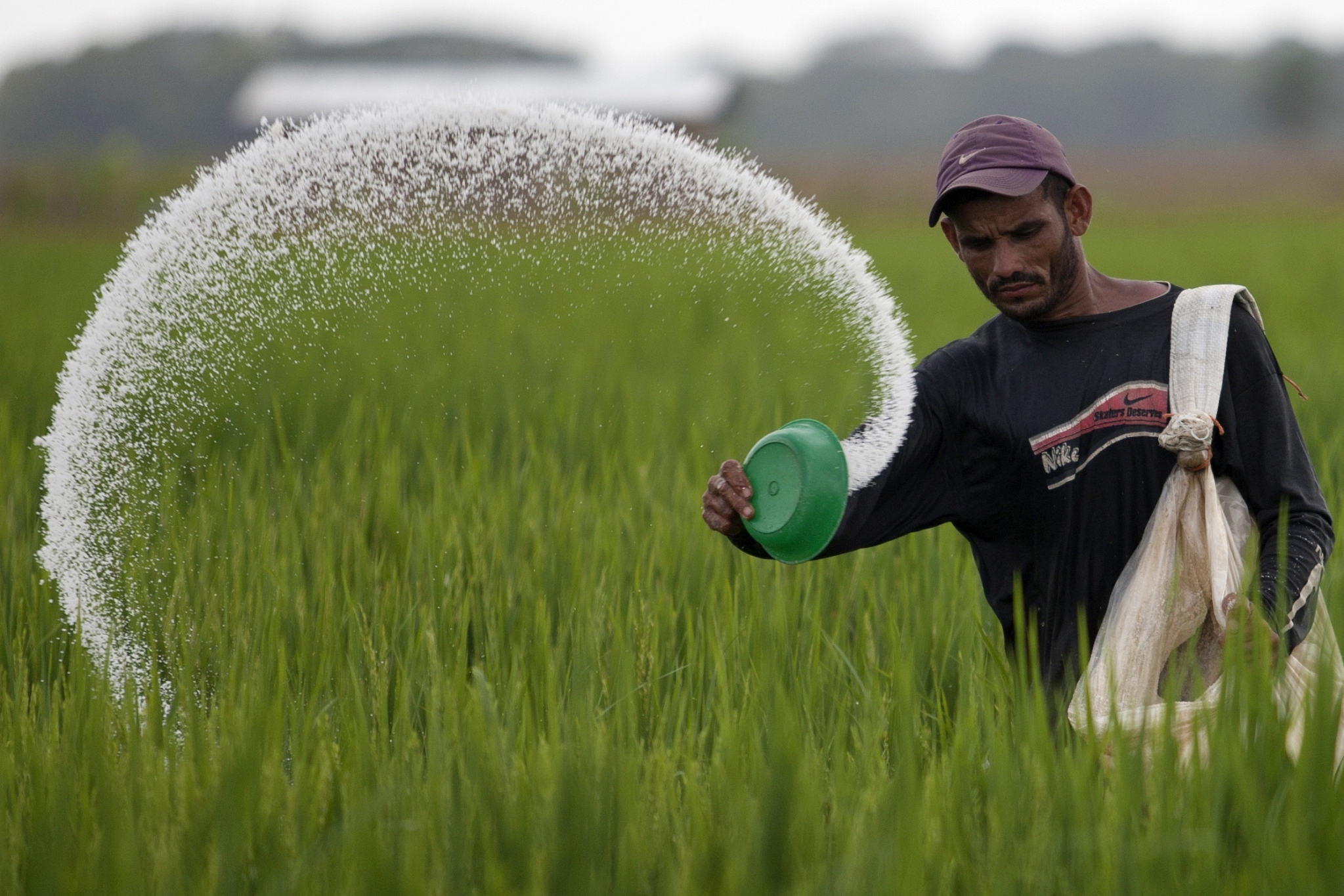 A farmer using fertilizer
