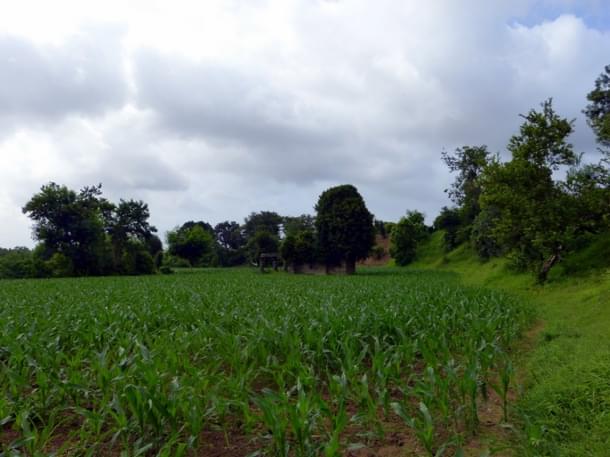 Picture 5 View from far away