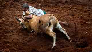 A bull tries to overthrow a participant