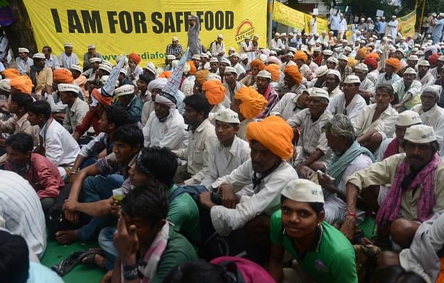 Indian farmers demonstrate during a protest against GM Crops (RAVEENDRAN/AFP/Getty Images)