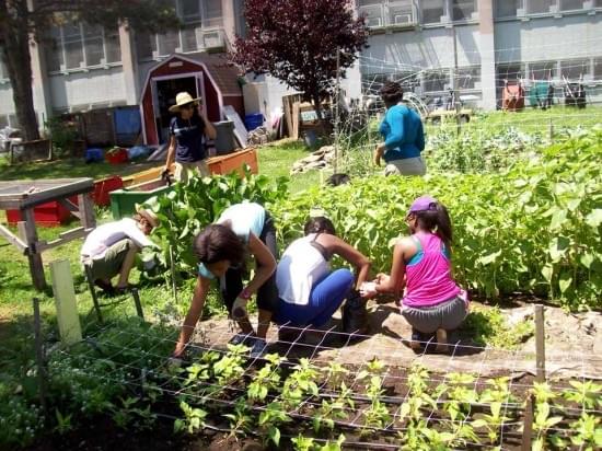 Teach your kids to have a garden