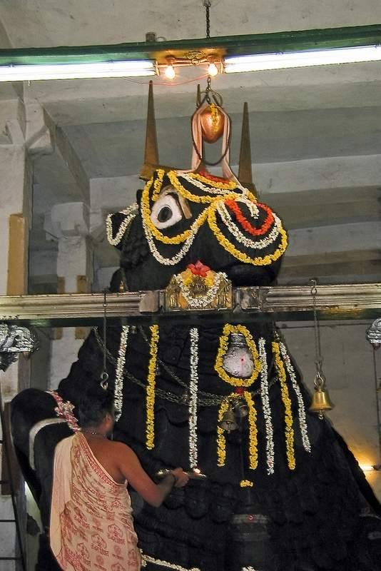 The bull that kept growing!