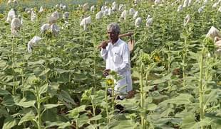 Farm loan waivers must end.