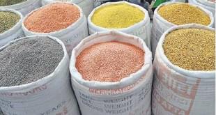 Dal