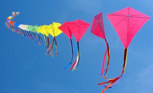3D Kites - Pro Kites USA