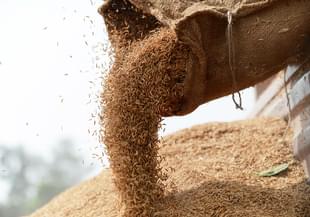 India food grain (ROBERTO SCHMIDT/AFP/Getty Images)