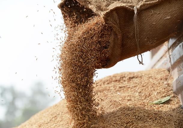 India food grain (ROBERTO SCHMIDT/AFP/Getty Images)