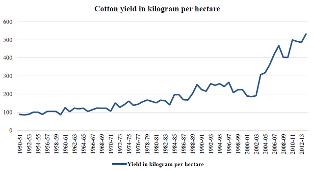 Graph: Cotton yield (kg/ha) in India, 1950-51 to 2013-14 (Source: Agricultural Statistics at a Glance 2014, Directorate of Economics and Statistics, Ministry of Agriculture, Government of India.)