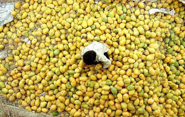 Mangoes in India (STR/AFP/Getty Images)