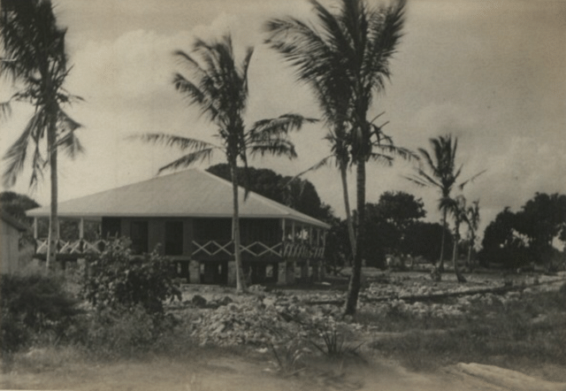 

A “dak bungalow” in Kenya, c. 1900. The term was sometimes applied to similar structures throughout the <a href="https://en.wikipedia.org/wiki/British_Empire">British Empire</a>.