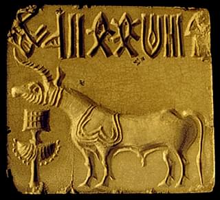 Indus Seal