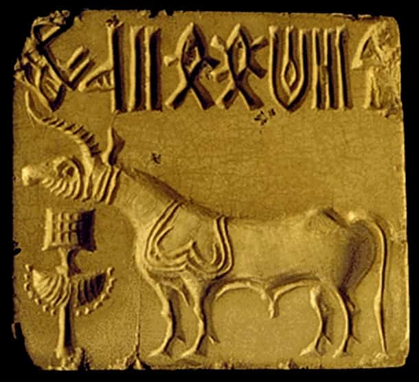 Indus Seal
