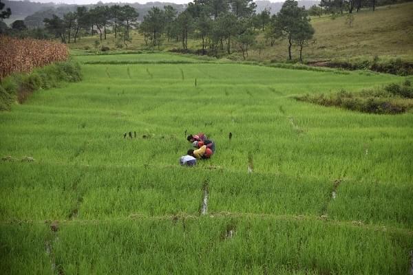 Image Credit: BIJU BORO/AFP/Getty Images
