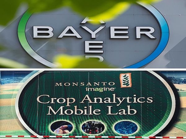 Bayer to Buy Monsanto, Creating a Massive Seeds and Pesticides Company -  Scientific American