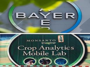 Photo: MICHAEL B. THOMAS,JOHN MACDOUGALL/AFP/Getty Images